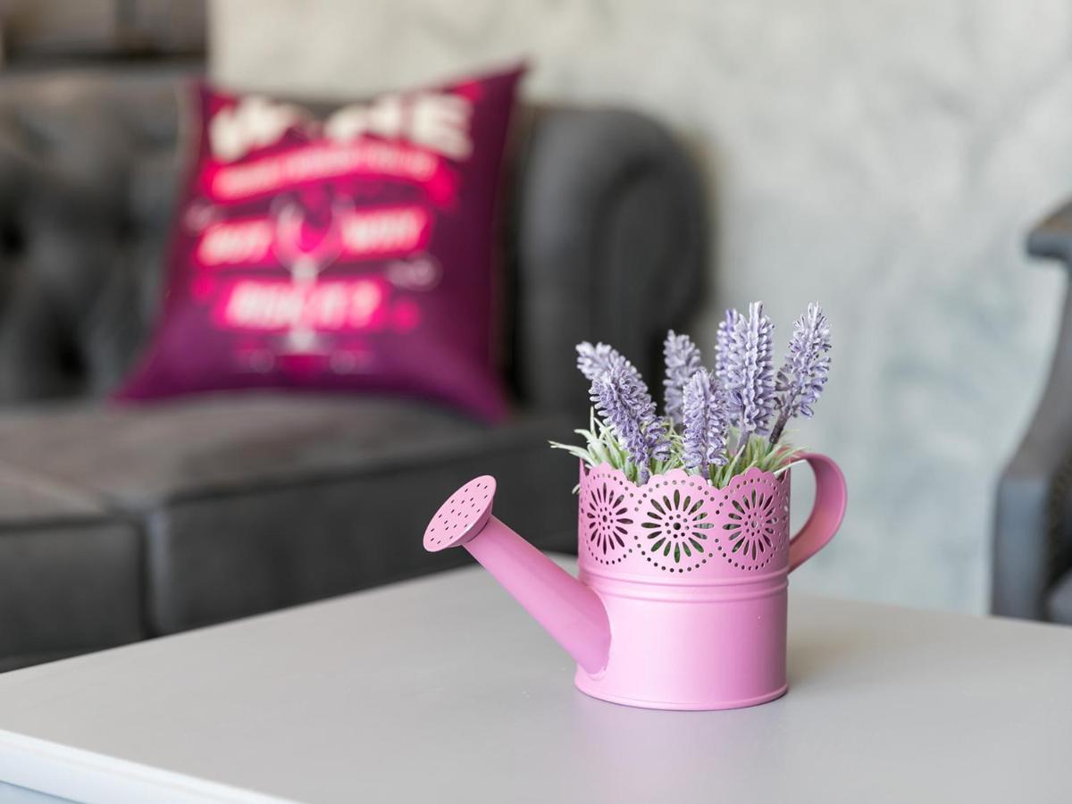 Villa Lavanda Nova Vas  Kültér fotó